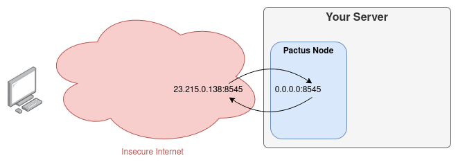 Pactus Insecure Connection